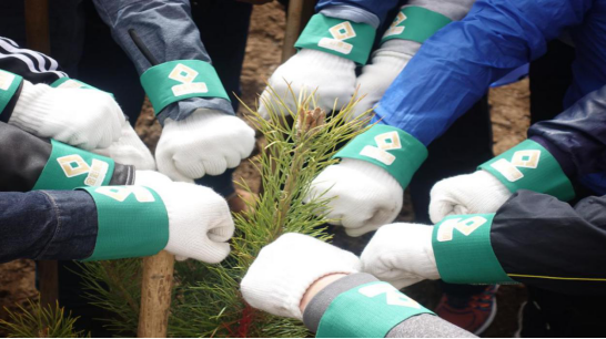 1556019571480042.png image.png